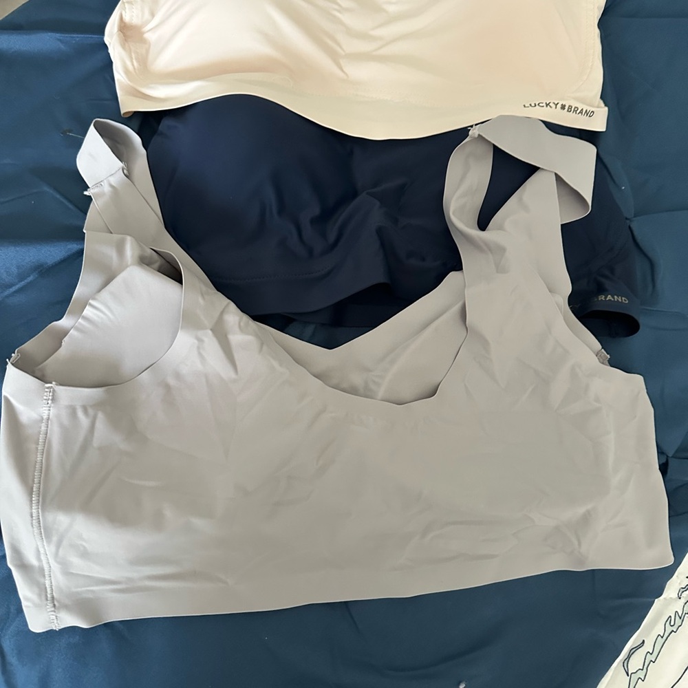Lucky Brand Gray and Blue Bra Intimates